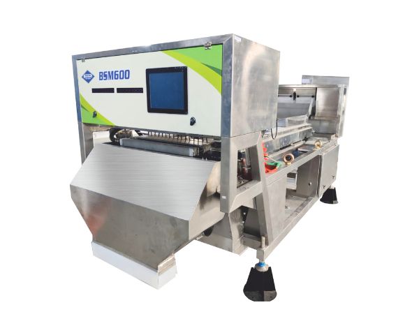 BSM 600