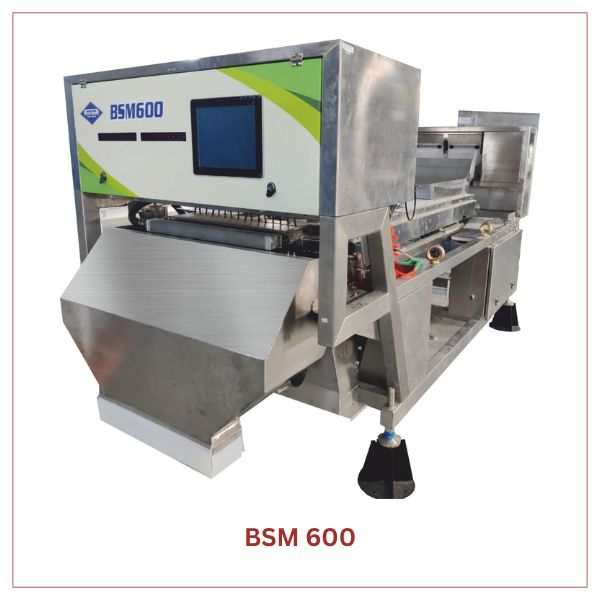 BSM 600