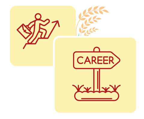 career